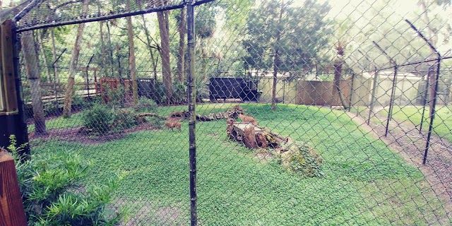 Ellie Schiller Homosassa Springs Wildlife State Park West Entrance